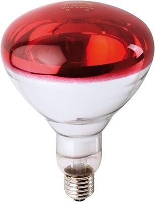 Lampe chauffante infrarouge philips 150 w avec réflecteur de lumière rouge 230-250 v modèle e27 es (fabriquée en corée). Le meilleur du e-commerce discount réuni sur Diaytar