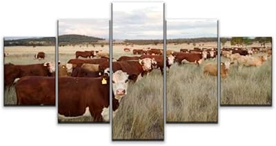 Nuit aux états-unis toile murale hereford boeuf bovin nourri à l'herbe paddock peintures