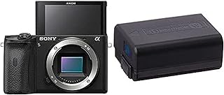 Appareil photo sans miroir sony alpha a6600 avec batterie rechargeable supplémentaire np-fw50 série