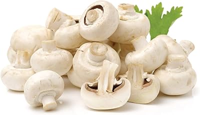 Champignons omanais, 1 paquet - 250 grammes. La nouvelle ère du shopping sénégalais commence avec Diaytar