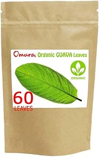 Feuilles de goyave biologiques, séchées, (paquet de 60 feuilles)