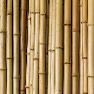 Jouet de maquillage poteaux en bambou naturel piquets pour support de plantes