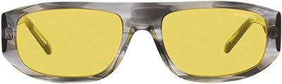 Lunettes de soleil rectangulaires arnette zayn an4292 gullwing pour femmes