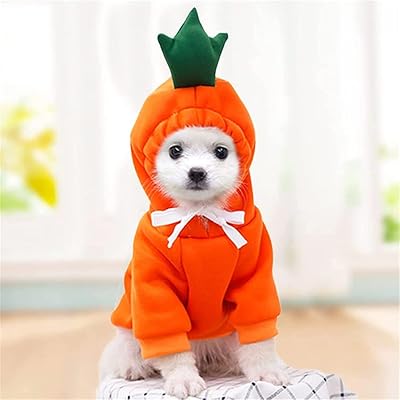 Castowave costume à capuche en plastique pour chat et chien, jolie carotte, costume
