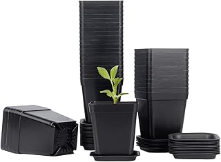36 pots de pépinière carrés en plastique de 3 pouces avec trou de drainage et soucoupes de semis, récipient pour votre chambre, bureau de jardin, décoration de porche, noir. Diaytar : Faites des achats intelligents en quelques clics