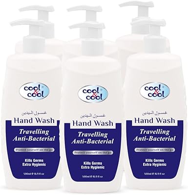 Liquide nettoyant pour les mains antibactérien de voyage cool & cool