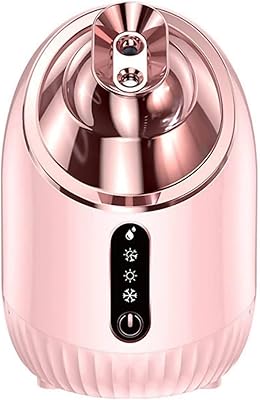 Vapeur facial pour soulager les sinus, vapeur nano ionique 2 en 1 avec