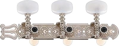 Guitare classique golden gate f-2118 - 2 panneaux (3+3) - nickel. Profitez des meilleurs deals du Sénégal sur Diaytar