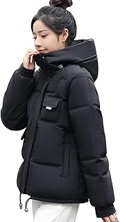 Manteau d'hiver épais en duvet pour femme, fermeture éclair complète, chaud, à capuche