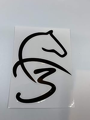 Autocollant de voiture vazza f3 - [10x] (7 x 6 cm 5 pièces)