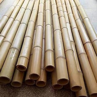 Jouet de maquillage poteaux en bambou bâtons de plantes de jardin naturels