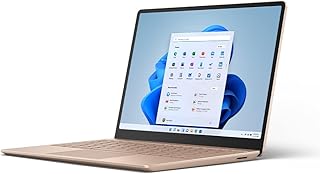 Ordinateur portable ultra fin microsoft surface go 2 écran tactile 124