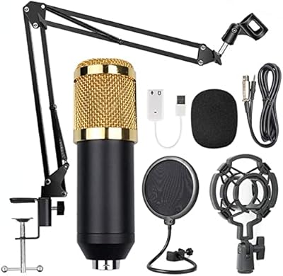 Arabest bm800 ensemble de microphones de commentaires professionnels ensemble de microphones à condensateur