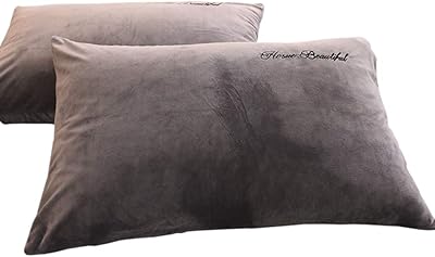 Taies d'oreiller en velours cristal, housse de coussin respirante brodée avec fermeture d'enveloppe