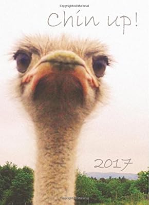My big fat calendar 2017 - chin up! (grande-bretagne) : 1 jour