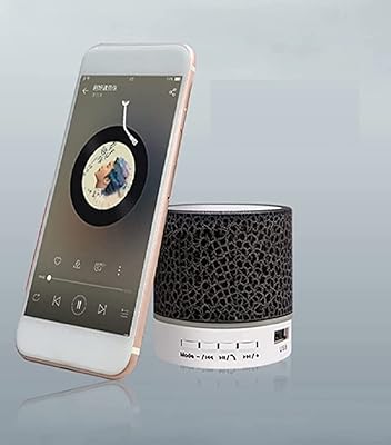 Mini haut-parleur, mini haut-parleur sans fil rechargeable portable pour les voyages en plein