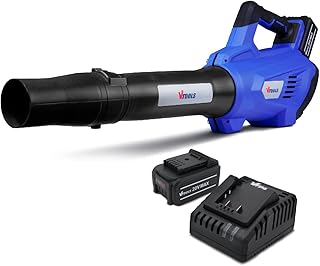 Souffleur de feuilles sans fil v tools 20 v pour l'entretien de la pelouse