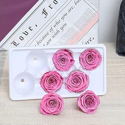 Yatai bouquet de fleurs préservées romantiques de roses immortelles naturelles fleurs séchées