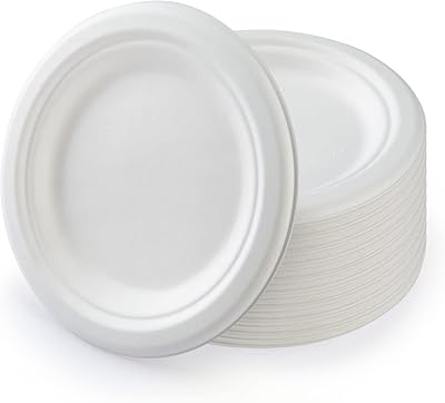 25 pièces 10" assiettes en papier biodégradables jetables assiettes en papier extra résistantes