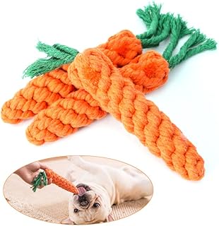 Jouet à mâcher en forme de carotte pour chien, jouet de dentition