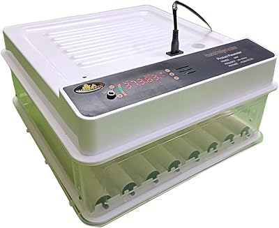 Incubateur automatique d'œufs hatch pro 36 egg pour œufs à couver