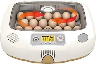 Incubateurs d'œufs automatiques r.com pour courtiers en œufs avec contrôle automatique de la température,