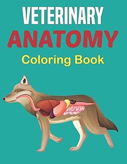 Livre de coloriage sur l'anatomie vétérinaire : livre de coloriage et d'activités