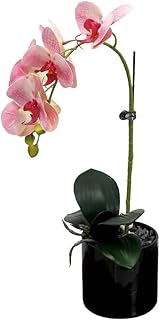 Orchidées artificielles semi-naturelles yatai dans un vase en céramique, plantes artificielles en pot