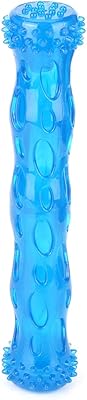 Jouet molaire pour animaux de compagnie, silicone non toxique, jouet de nettoyage