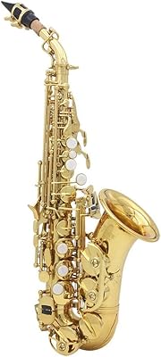 Saxophone alto plat migaria b finition plaquée or avec étui souple