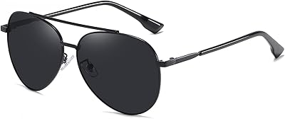 Lunettes de soleil rétro classiques polarisées pour hommes