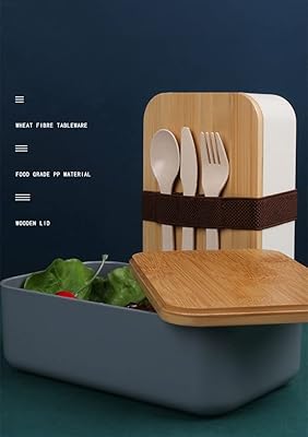 Boîte à déjeuner double couche au design japonais avec cuillère et fourchette, boîte