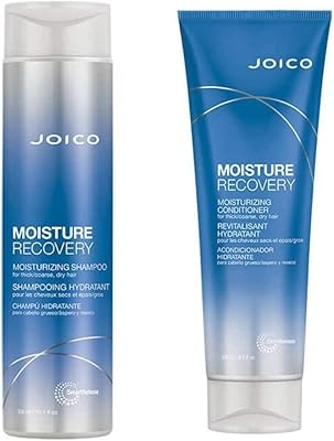 Shampooing réparateur d'humidité des laboratoires joico 300 ml et après-shampoing 250 ml, nouveau