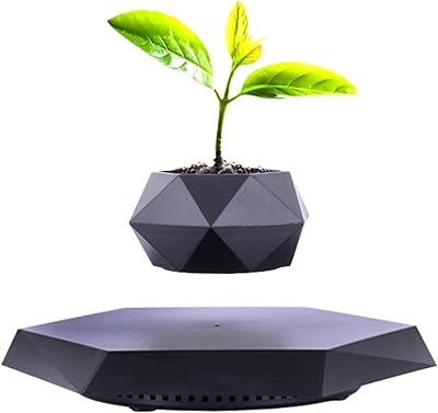 Pot de plante flottant magnétique relevable moussu pour plantes succulentes, bonsaï aériens, fleurs