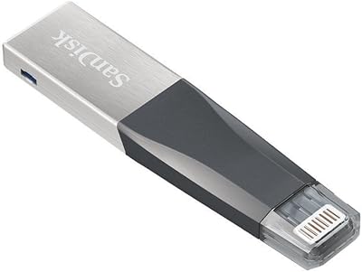 Mini clé usb sandisk ex-pand 32 go - sdix40n-032g-gn6nn