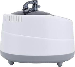 Pot de sauna à vapeur 1000 w portable 1 à 9 vitesses