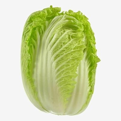 Plateau de chou wong pok - graines de légumes brassica rapa subsppekinensis, également