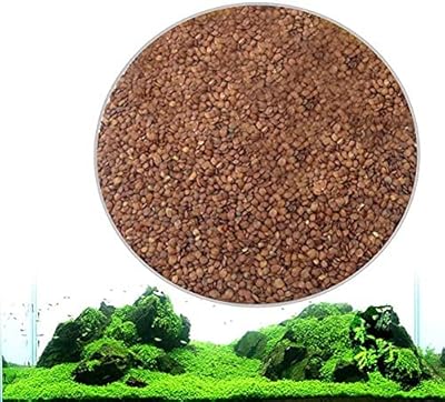Nouvelles graines de plantes d'aquarium acrete, graines d'herbe d'aquarium pour jardin et décoration