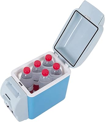 Mini réfrigérateur, réfrigérateur personnel portable de 7,5 l pour les soins de la peau,