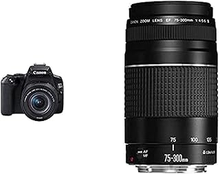 Kit d'objectif canon eos 250d 18-55 mm f/4-5.6 est stm + objectif 75-300
