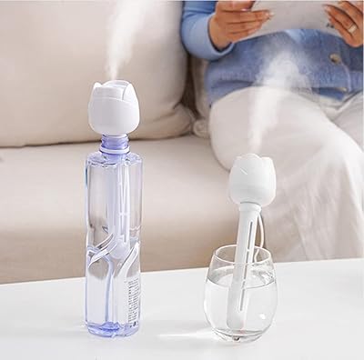 Mini humidificateur portable, humidificateur de bureau personnel rechargeable par usb avec arrêt automatique