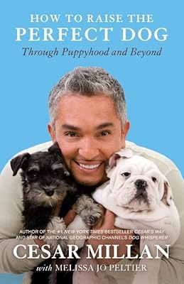 Comment élever le chien parfait : à travers l'enfance et au-delà