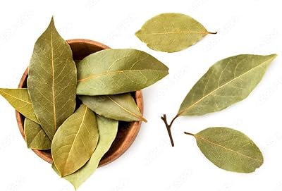 Feuilles de laurier naturelles de safran, 50 grammes