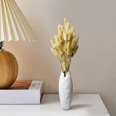 Ensemble de vases à herbes séchées en queue de lapin urdibul, 60 pièces