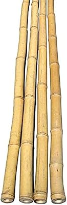 Bâton de maquillage en bambou naturel, piquets pour plantes de jardin intérieur