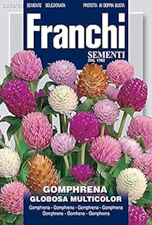 Graines de gomphrena globosa multicolores de franci \"entretien du jardin\"