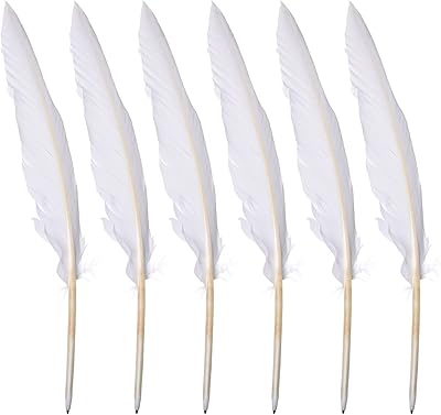 Making take 4 stylos plume d'oie blanche, stylo signature plume avec encre noire