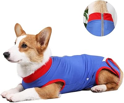 Costume de guérison pour chien arabe, chemise de guérison pour plaies abdominales, combinaison