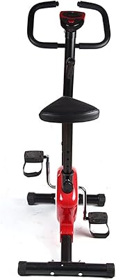 Vélos d'exercice ybravo pour la maison, vélo d'exercice multifonctionnel vélo fixe vélo d'exercice