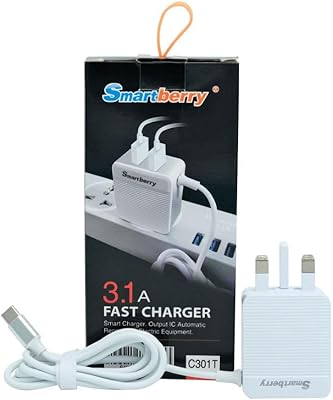 Chargeur rapide smart berry type c blanc 31 a (c301t)